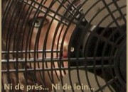 ventilateur